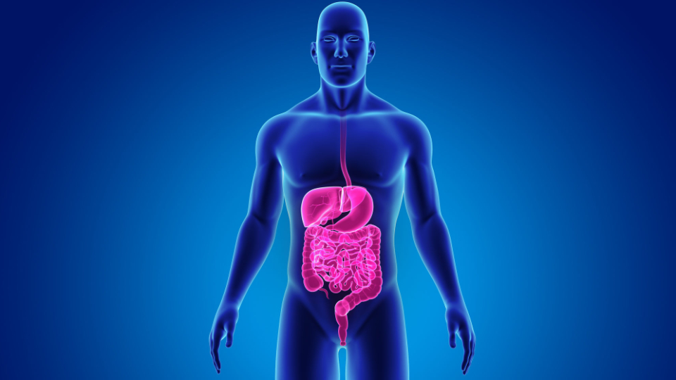 Food That Help With Digestive Issues