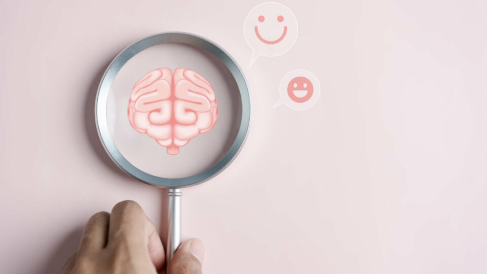 Brain and Body Connections: The Effects of Mental Health on Your Immune System The Effects of Mental Health on Your Immune System