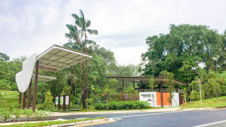 New Running Place in Singapore: 6 Things You Must Do at Windsor Nature Park