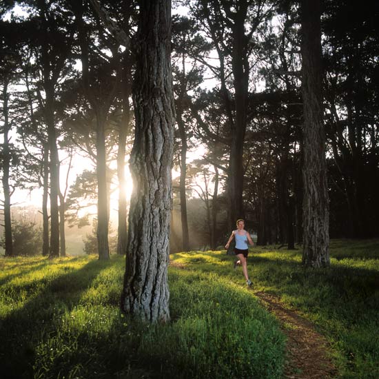 The Magic of Trail Running