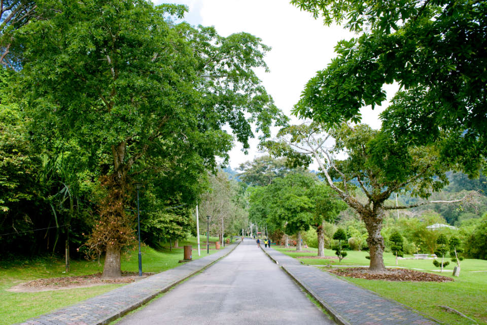 Where to Run in Malaysia: Malaysia’s Top 10 Running Routes of Each City